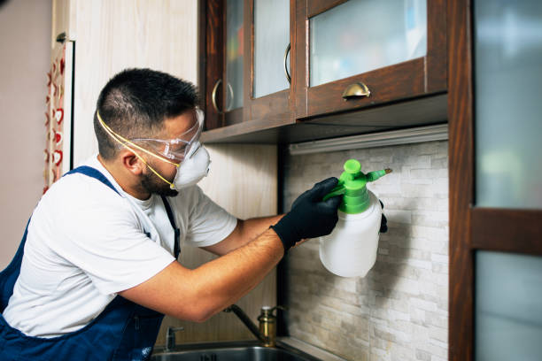 Best Local Pest Control Services  in Skyline, AL