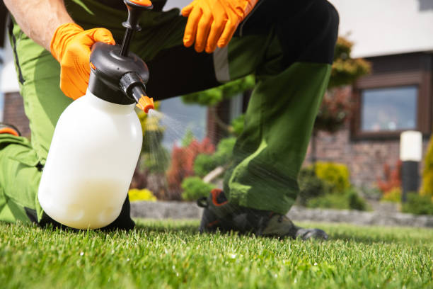 Professional Pest Control in Skyline, AL