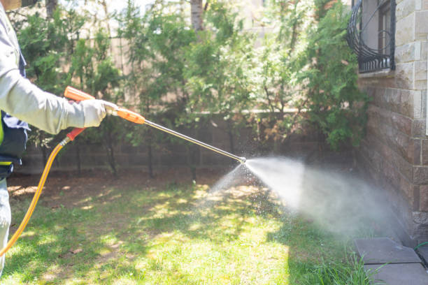 Best Exterminator Services  in Skyline, AL