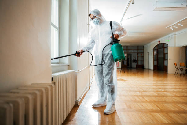 Flea Control Services in Skyline, AL